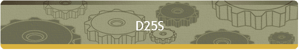 D25S